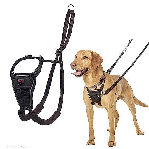OFERTÓN SUPREMO 68% DESCUENTO Arnés anti tirones HALTI Para evitar que tu perro tire de la correa, Ajustable, Ligero y Fácil de Usar. Reflexiva Adiestramiento canino Arnés para perros medianos (Talla M)