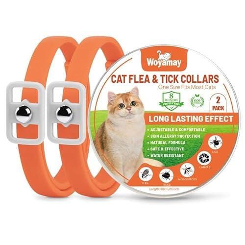 DESCUENTAZO 43% DESCUENTO Woyamay Collar Antiparasitario Gatos, Collar Antipulgas Gatos Collar Antipulgas y Garrapatas, Ajustable Resistente Al Aqua, 8 Meses de Protección, para Qualquier Tamaño de Gato, Naranja (2 Unidades)