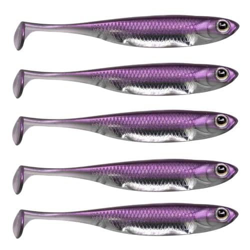 QualyQualy Señuelos de Vinilos de Pesca Spinning Mar Senuelo Black Bass Blandos senuelos de Pesca Cebos Artificiales de Pesca Pare Lucio Trucha 10cm 3# 5 Piezas