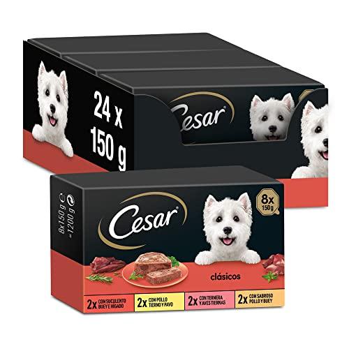 46% DESCUENTO Cesar Comida Húmeda para Perros, Selección de Clásicos en Paté, Multipack (Pack de 3 x 8 Tarrinas x 150g)