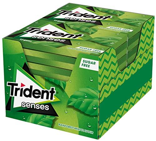 Trident Senses Spearmint Chicles sin Azúcar con Sabor a Hierbabuena Paquete de 12 envases de 23 g