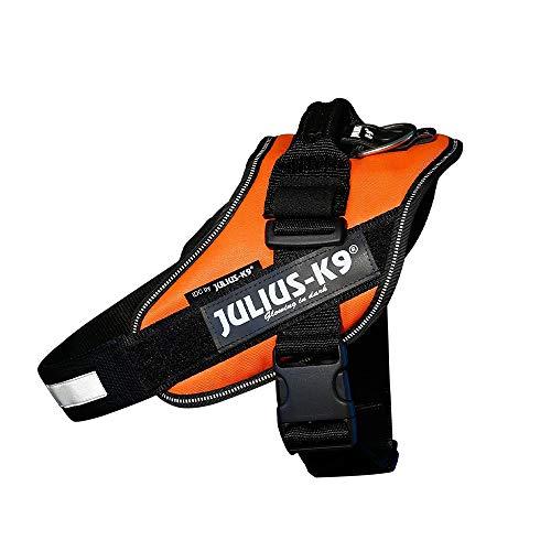 49% DESCUENTO Julius K9, Arnés IDC Power, Tamaño: M / 0, Naranja UV