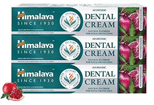 73% DESCUENTO Himalaya Ayurvedic Dental Cream Herbal Toothpaste Neem & pomegranate Gum protection |Helps fight Plague, Cavity and prevents tooth decay | with natural fluoride 100g (Pack of 3)