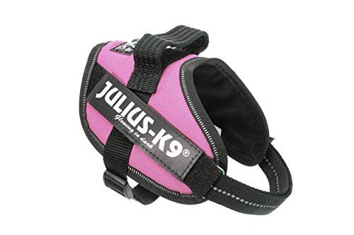 68% DESCUENTO Julius K9, Arnés IDC Power, Tamaño: S / Mini, Rosa