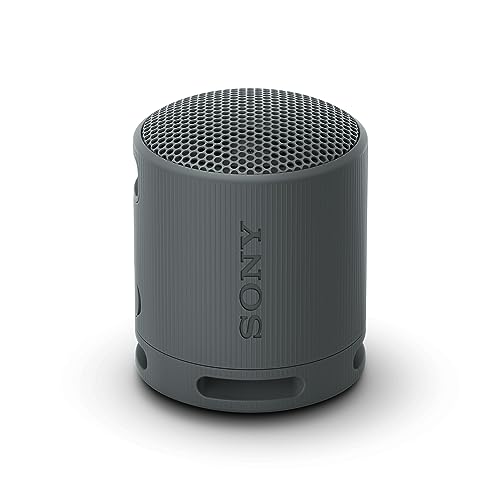 51% DESCUENTO Sony Altavoz Bluetooth SRS XB100, Ligero, Compacto, Altavoz Resistente al Agua y al Polvo IP67, hasta 16 h de batería, Correa Adaptable, Negro