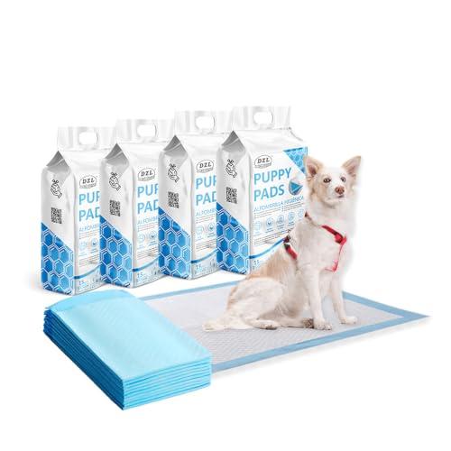 Empapadores Desechables Perros Gatos Toallitas de Entrenamiento para Mascotas empapadores para Perros (60*90cm 60PC)