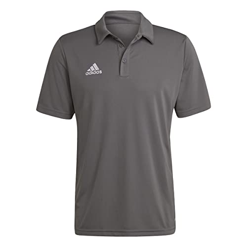 36% DESCUENTO adidas Hombre Entrada 22 Polo Shirt, Team Grey Four, M