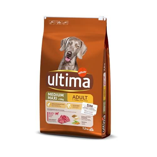 23% DESCUENTO Ultima Medium Maxi Adult Buey, Comida seca para perros, 7,5kg