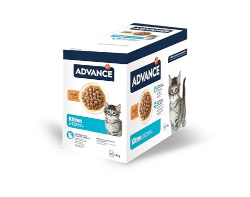 49% DESCUENTO Advance Comida Húmeda para Gatitos con Pollo, Multipack 12 x 85 g, Total 1.02 kg