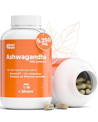 Ashwagandha Alta Potencia: Adaptógeno con Sensoril® (10% Withanólidos) | Sueño Profundo, Estrés, Bienestar, Energía, Concentración | 120 cápsulas | 4 Meses | 2x Más Concentrado que Ashwagandha KSM 66