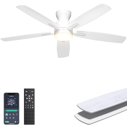OFERTA DE LOCURA EN VENTILADOR DE TECHO SILENCIOSO