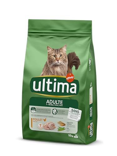 OFERTA IMPERDIBLE DE COMIDA SECA PARA GATOS