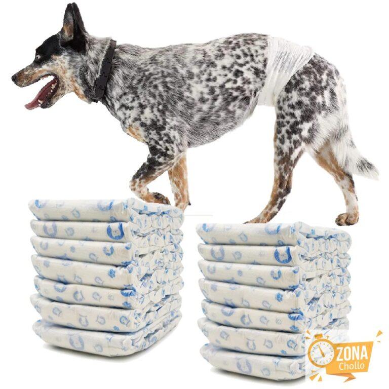 Pañal para Perro Sanitarios Mascotas Desechables Masculino… — 8.07 EUR €
