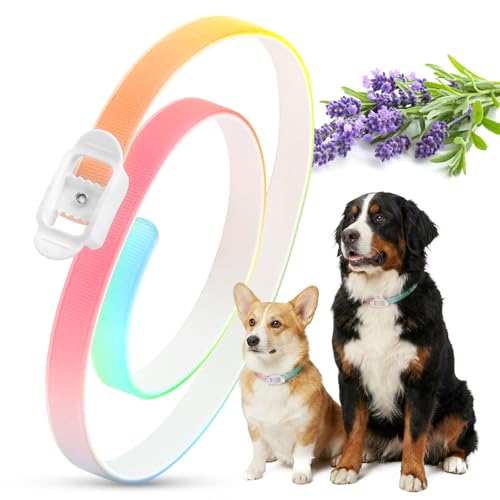 Collar antipulgas y garrapatas para Perros – 69 cm Impermeable y… — 13,99 €